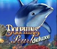 Dolphins Pearl Deluxe